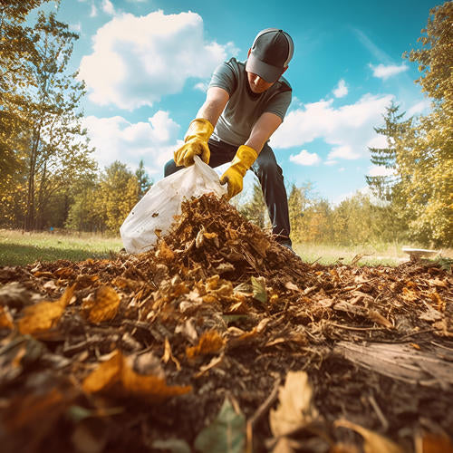 Politique de confidentialité